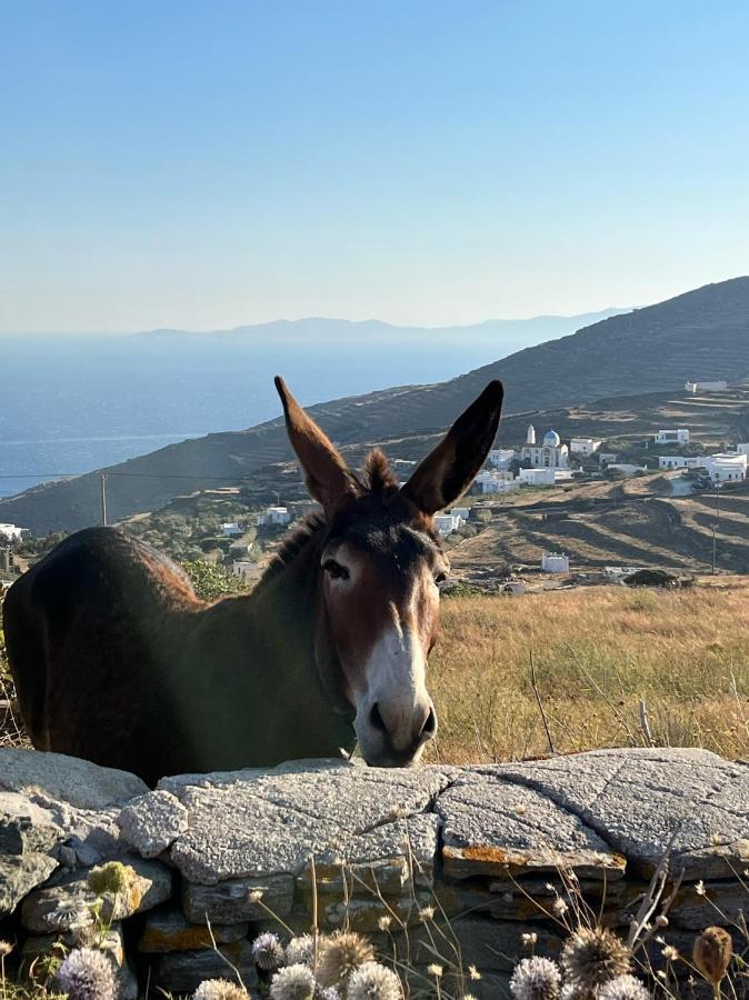 Sea Views - Marble Palace - 2 Floors Tinos Luaran gambar