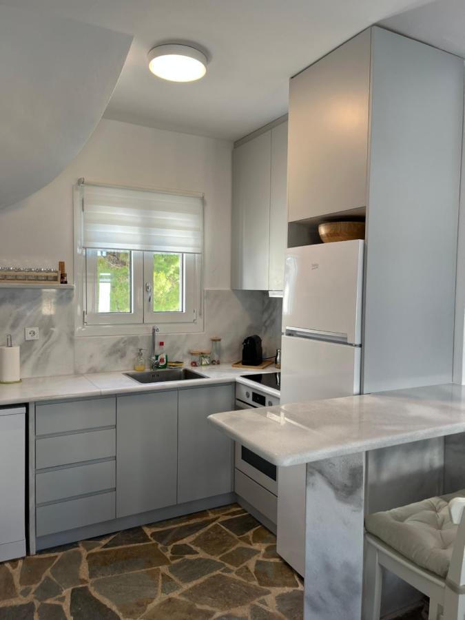 Sea Views - Marble Palace - 2 Floors Tinos Luaran gambar